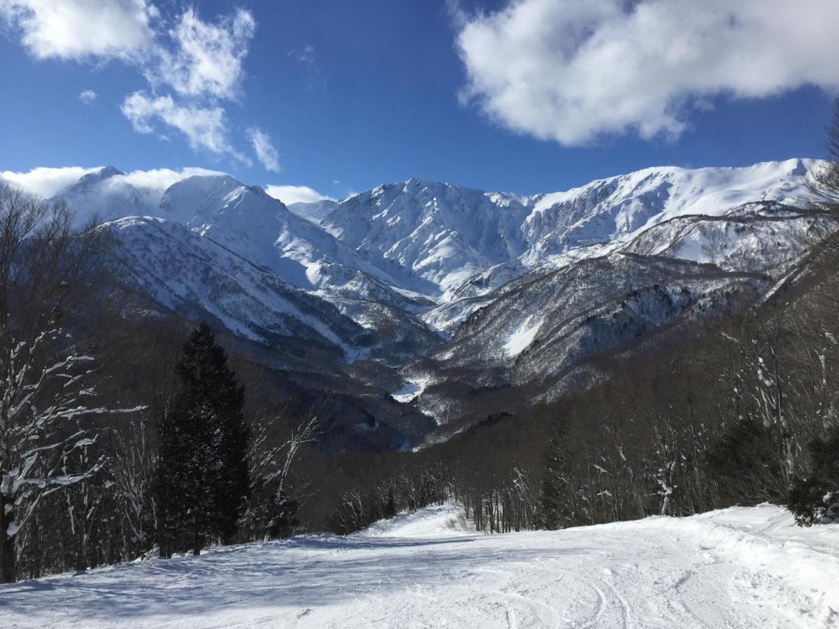 Lodge Blue Mount Hakuba Eksteriør billede